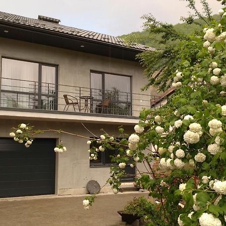 Guesthouse U Dida Viktora ياريمتشي المظهر الخارجي الصورة