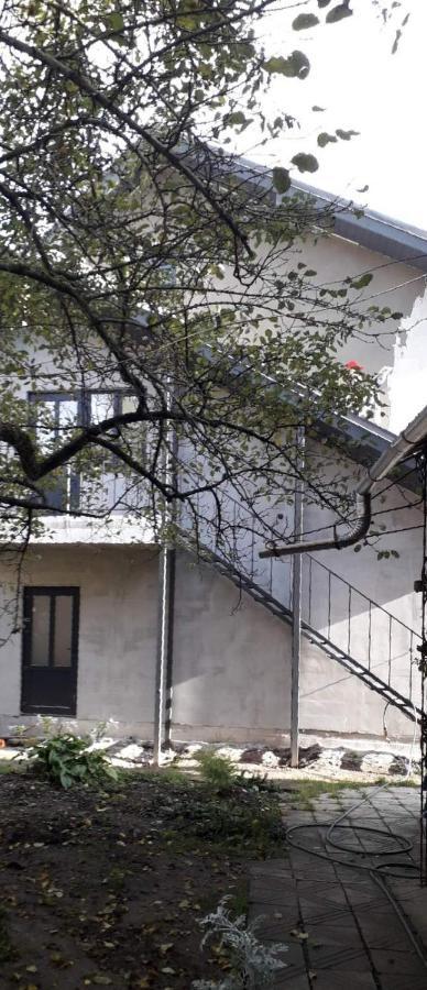 Guesthouse U Dida Viktora ياريمتشي المظهر الخارجي الصورة