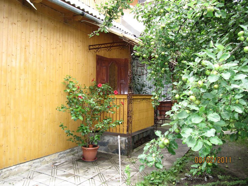 Guesthouse U Dida Viktora ياريمتشي المظهر الخارجي الصورة