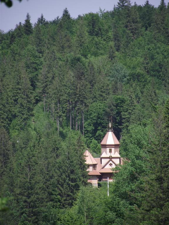 Guesthouse U Dida Viktora ياريمتشي المظهر الخارجي الصورة